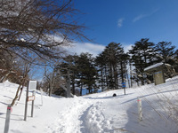 240119DSC09592.JPG