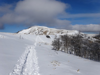 240119DSC09637.JPG