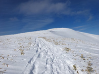 240119DSC09645.JPG