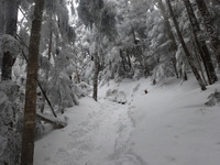 250115DSC09387.JPG