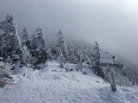 250115DSC09404.JPG