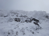 250115DSC09408.JPG