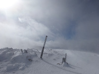 250115DSC09432.JPG