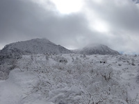 250115DSC09526.JPG