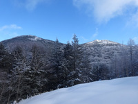 250126DSC09775.JPG