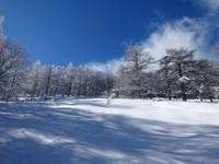 250126DSC09782.JPG