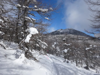 250126DSC09794.JPG