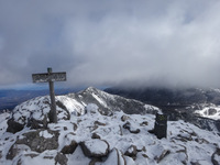 250126DSC09863.JPG