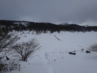 250126DSC09895.JPG