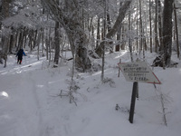 250211DSC00209.JPG