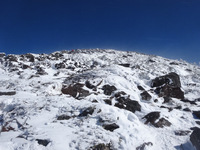 250211DSC00253.JPG