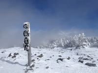 250211DSC00258.JPG