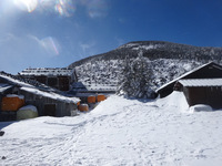 250211DSC00273.JPG