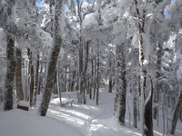 250211DSC00292a.JPG