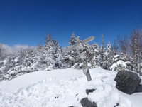 250211DSC00310a.JPG