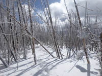250219DSC00511.JPG