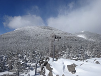 250219DSC00562.JPG