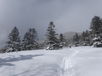 250219DSC00620.JPG