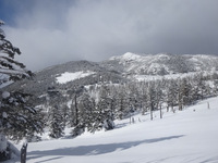 250219DSC00649.JPG