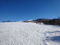 250225DSC00673.JPG