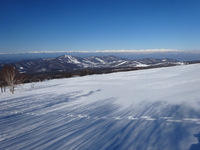250225DSC00701.JPG