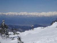 250225DSC00753.JPG