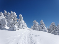 250225DSC00772.JPG