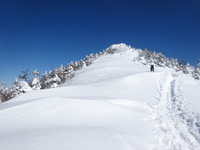 250225DSC00785a.JPG