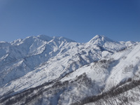 250301DSC00939.JPG