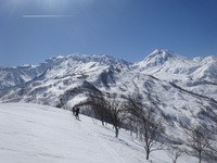 250301DSC01007.JPG