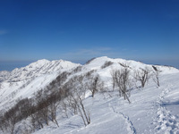 250301DSC01017.JPG