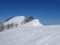 250301DSC01019.JPG