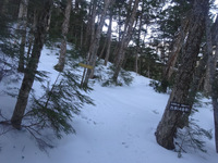 250310DSC01081.JPG