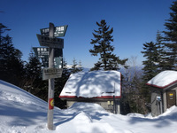 250310DSC01105.JPG