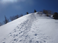 250310DSC01120.JPG