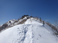 250310DSC01123.JPG