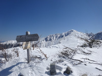 250310DSC01131.JPG