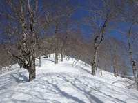 250314DSC01235.JPG