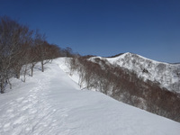 250314DSC01241.JPG