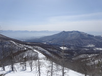 250314DSC01295a.JPG