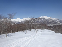 250314DSC01329.JPG