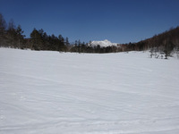 250314DSC01343.JPG