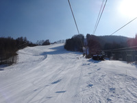 250322DSC01369.JPG