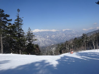 250322DSC01382.JPG