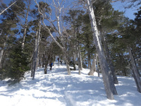 250322DSC01390.JPG