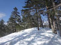 250322DSC01401a.JPG