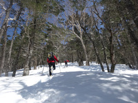 250322DSC01419.JPG