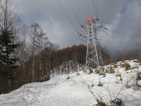 250330DSC01527.JPG