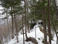 250330DSC01555.JPG
