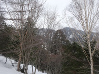 250330DSC01560.JPG